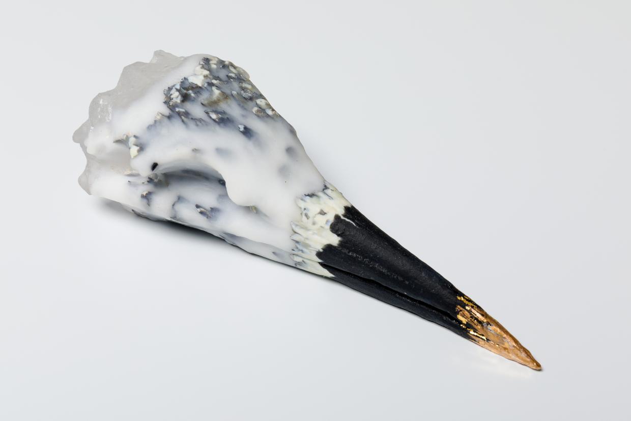 Close-up of a cone-shaped object with a rough, textured surface in black and white; the tip is black with a golden point, and the base features crystalline formations