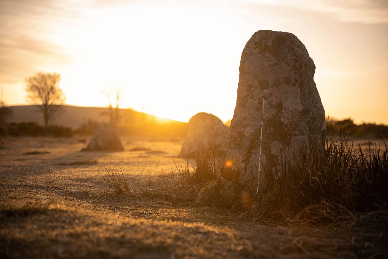Sunset landscape with large upright stones in a field, warm golden light, and trees and dry vegetation in the background